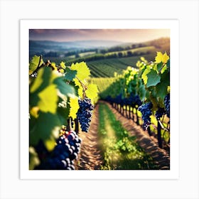 Vineyards At Sunset 1 Art Print