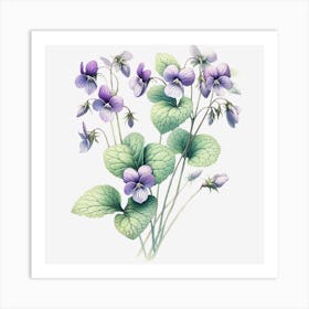 Violet Art Print