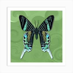 Mechanical Butterfly The Urania Leilus On A Light Green Background Art Print