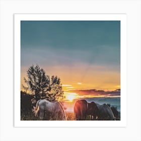 Horses Grazing At Sunset Art Print