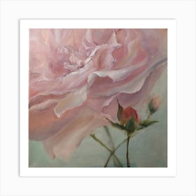 Pink Rose Art Print