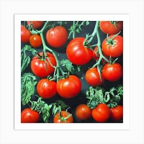 Tomatoes (3) Art Print