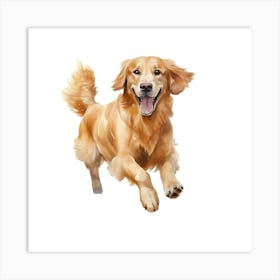 Golden Retriever Dog 4 Art Print