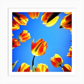 Tulips In A Circle Art Print