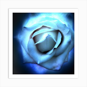 Blue Rose Art Print