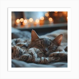 Cat Sleeping On A Blanket Art Print