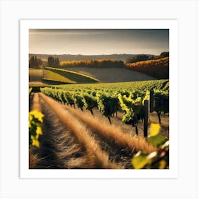 Vineyards At Sunset 6 Art Print