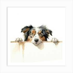 Australian Shepherd 1 Art Print