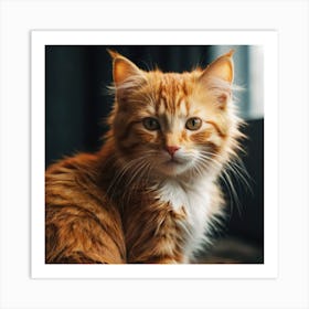 Orange Tabby Cat 1 Art Print