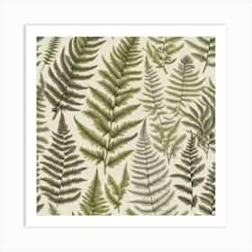 Ferns 4 Art Print