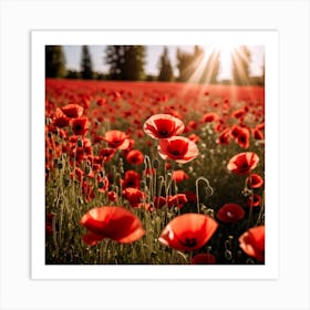 Poppy Field Art Print