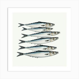 Sardines 13 Art Print