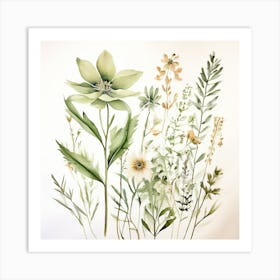 Wildflowers Art Print