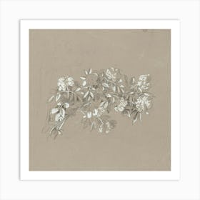 Drawing Of Flowers Art Print