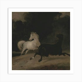 Horses 4 Art Print