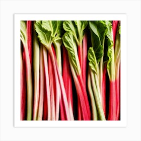 Rhubarb 94 Art Print