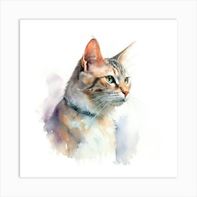 Selkirk Cat Portrait Art Print