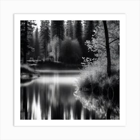 Black And White Forest 1 Art Print