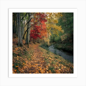 Autumn In The Woods Art Print