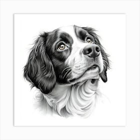 English Springer Spaniel Art Print