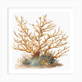 Coral Tree 1 Art Print