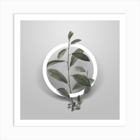 Vintage Grey Willow Minimalist Floral Geometric Circle on Soft Gray Art Print