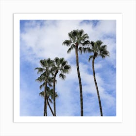 Palm trees in Seville Art Print