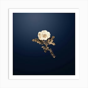 Gold Botanical Burnet Rose on Midnight Navy n.1169 Art Print