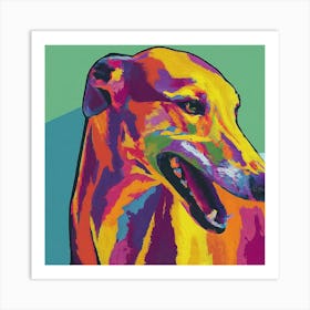 Greyhound Canvas Print Art Print