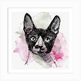 Sphynx Cat Art Print