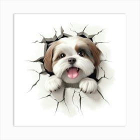 Shih Tzu 2 Art Print