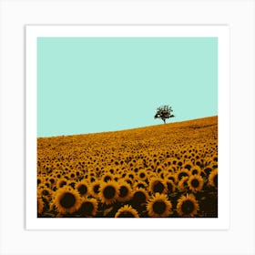 Sunflowers Art Print