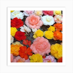 Blooming Flowers Art Print