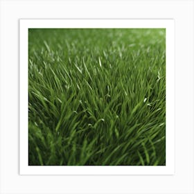 Close Up Of Green Grass 2 Art Print