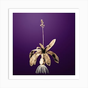 Gold Botanical Scilla Lilio Hyacinthus on Royal Purple n.4027 Art Print