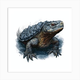 Turtle Art Print