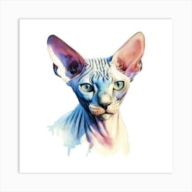 Sphynx Standard Cat Portrait 2 Art Print