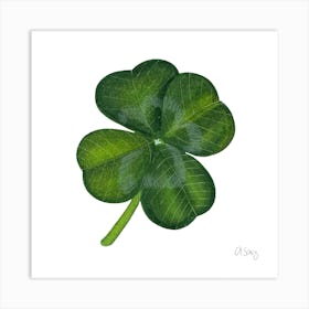 Clover Art Print