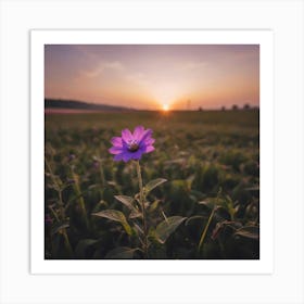 Single Purple Flower At Sunset Art Print