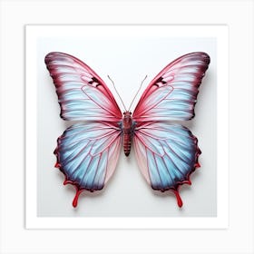 Butterfly Art Print