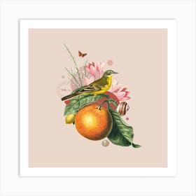 Flora & Fauna with Yellow Wagtail 1 Art Print