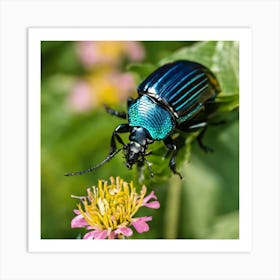 Beetle On Flower Art Print