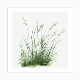 Watercolor-Spring-Grass-Clipart.8 Art Print