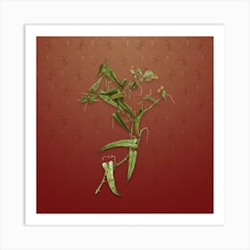 Vintage Rough Bindweed Botanical on Falu Red Pattern n.0344 Art Print