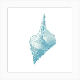 Seashell Art Print