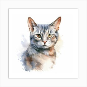 European Shorthair Cat Portrait 1 Art Print