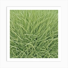 Green Grass 18 Art Print