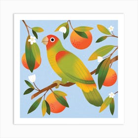 Tangerine Parrot In Blue Square Art Print