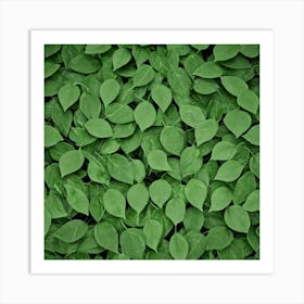 Green Leaves 2 Art Print