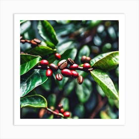 Coffee Beans On A Tree 26 Art Print